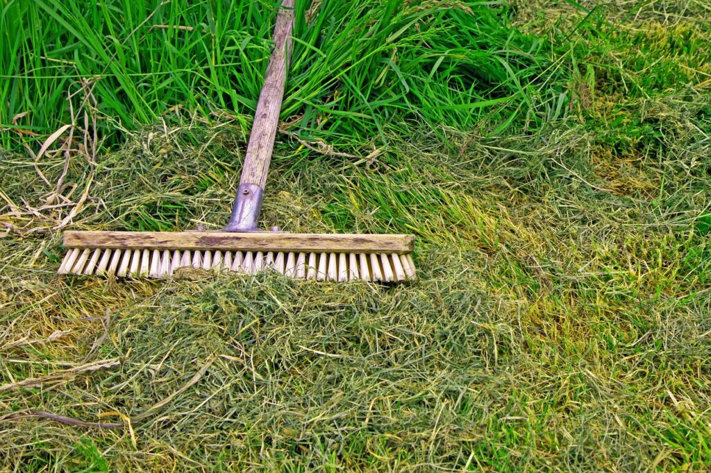 broom, lawn, garden-4565111.jpg