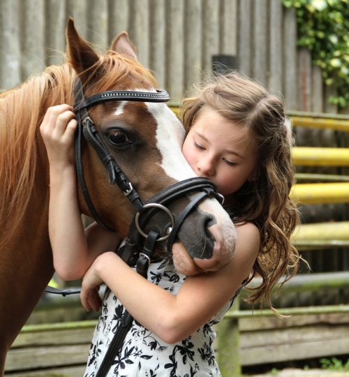 pony, girl, horse-2595144.jpg